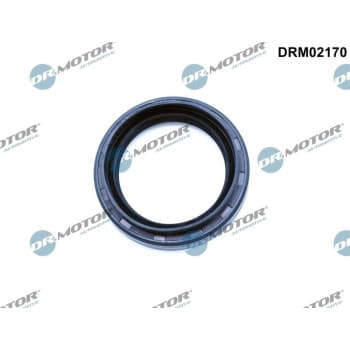 Oil seal, differential