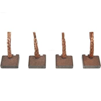 Carbon brush, starter motor