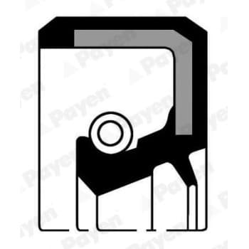 Shaft Seal, crankshaft NJ381 Payen